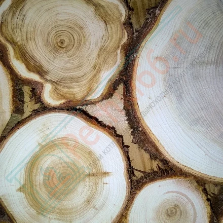 Экопанно из можжевельника нестандартного размера (ЭНФ) 1 кв. м