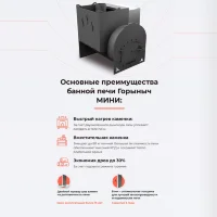 Банная печь Горыныч Мини З/К, под бак 60 л, закрытая каменка с парогенератором, конвекция (ТермоСфера)